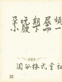 孕晚期尿频感觉小腹下面一直有尿意怎么回事