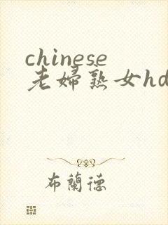 chinese老妇熟女hd