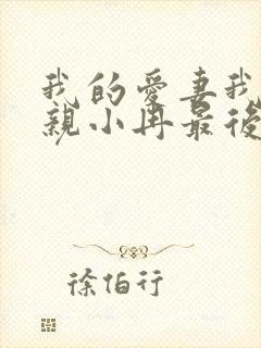 我的爱妻我的父亲小冉最后结局