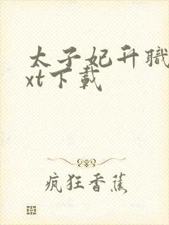 太子妃升职记txt下载