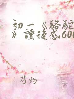 初一《骆驼祥子》读后感600字