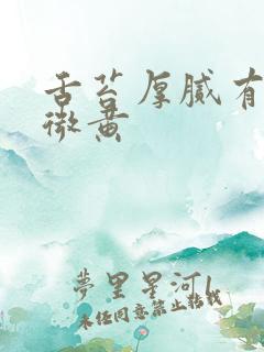 舌苔厚腻有裂纹微黄