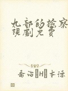 九部的检察官电视剧免费
