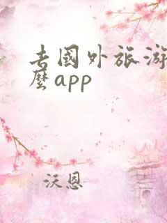 去国外旅游用什么app