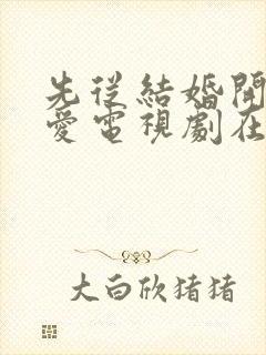 先从结婚开始恋爱电视剧在线观看