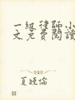 一级律师小说全文免费阅读正版