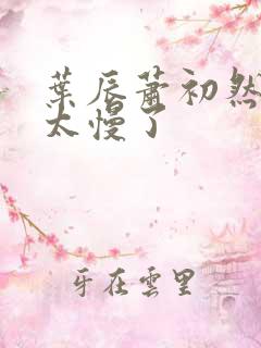 叶辰萧初然更新太慢了