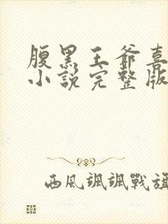 腹黑王爷喜当爹小说完整版大结局