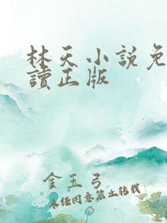 林天小说免费阅读正版