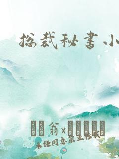 总裁秘书小说h