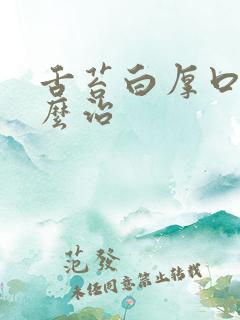 舌苔白厚口臭怎么治
