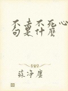 不去不死心下一句是什么