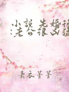 小说 先婚后爱:老公很凶猛