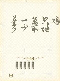 养一万只鸡需要多少亩地