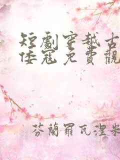 短剧穿越古代干倭寇免费观看