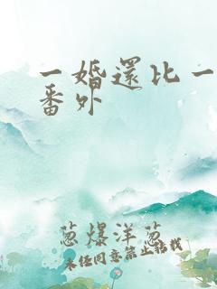 一婚还比一婚高番外