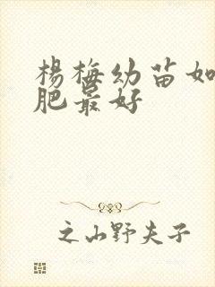 杨梅幼苗如何施肥最好