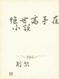 绝世高手在都市 小说