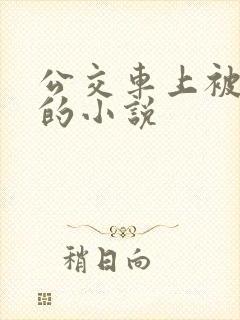 公交车上被进入的小说