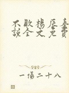 不败杨辰秦惜小说全文免费阅读