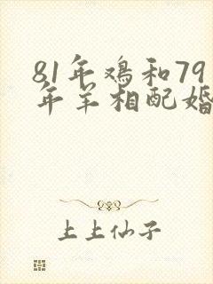 81年鸡和79年羊相配婚姻如何