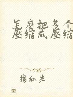 怎么把多个文件压缩成压缩包zip