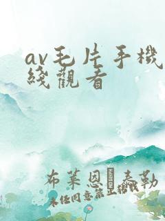 av毛片手机在线观看