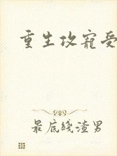 重生攻宠受文