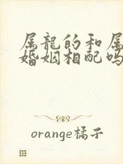 属龙的和属鸡的婚姻相配吗