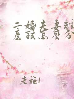 二婚夫妻离婚财产该怎么分割