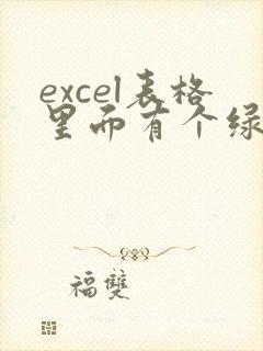 excel表格里面有个绿色的角怎么去掉