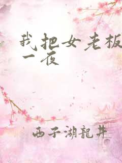 我把女老板爽了一夜