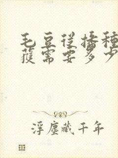 毛豆从播种到收获需要多少时间
