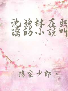 沈煦林在熙宁瑶瑶的小说叫什么名字