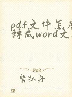 pdf文件怎么转成word文档