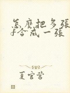 怎么把多张pdf合成一张
