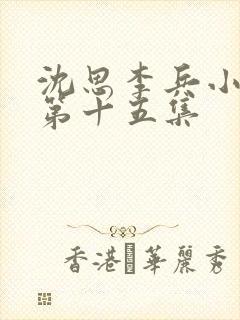 沈思李兵小说一第十五集