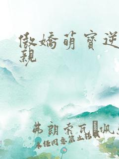 傲娇萌宝逆天娘亲