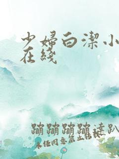 少妇白洁小说 在线