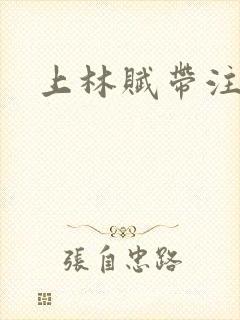 上林赋带注音