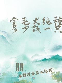 金毛犬纯种价格多少钱一只
