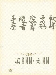 手机股票软件怎么看筹码峰