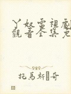 丫奴电视剧在线观看全集免费播放