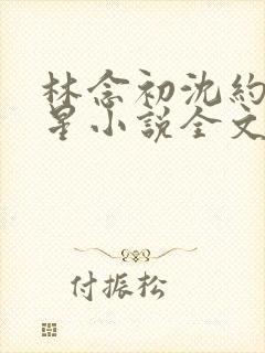 林念初沈约陆见星小说全文