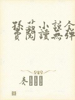 孙茹小说全文免费阅读无弹窗
