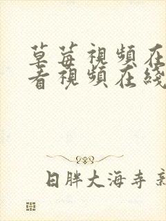 草莓视频在线观看视频在线播放版