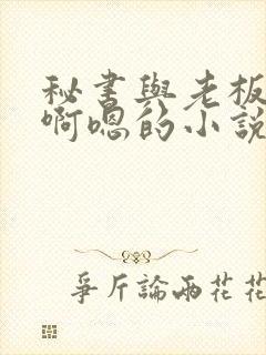 秘书与老板啊啊啊嗯的小说