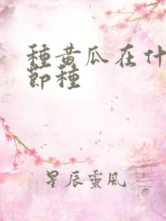 种黄瓜在什么季节种
