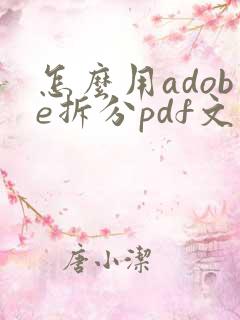怎么用adobe拆分pdf文件