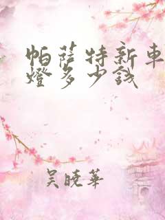 帕萨特新车前大灯多少钱